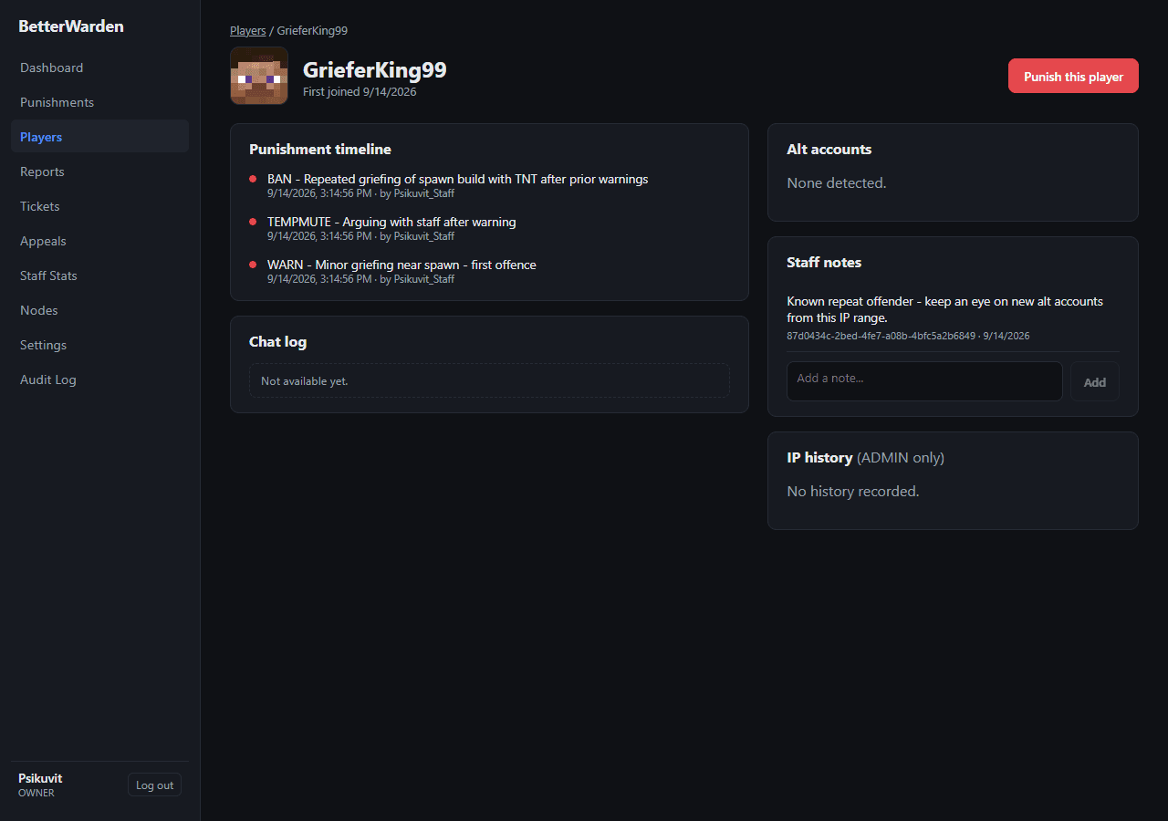 Web panel — player profile